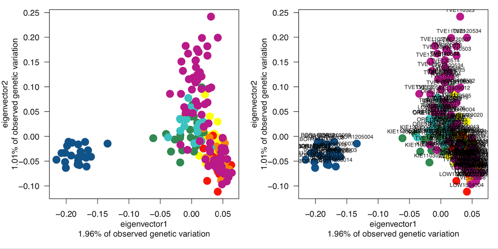 First Steps In Genomic Data Analysis - Evolution And Genomics